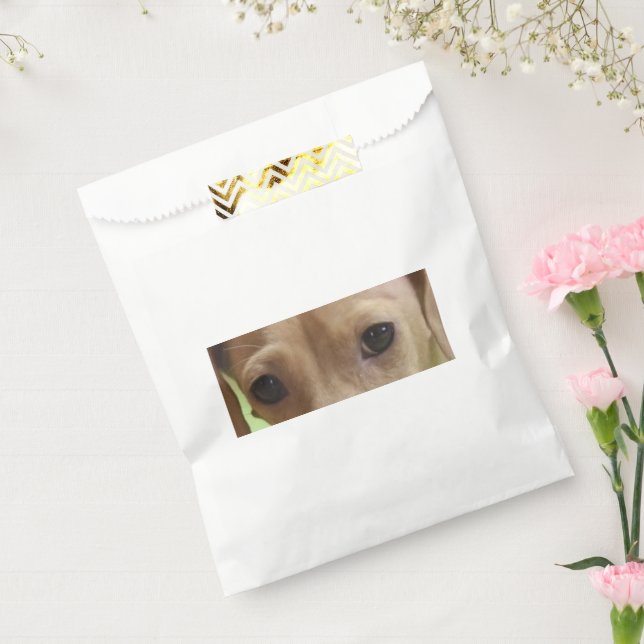 Sachets En Papier Crème Dachshund Eyes (Scellé)