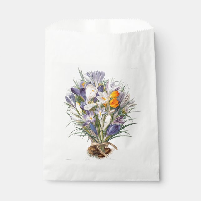 Sachets En Papier Crocus Spring Flower Botanique Floral Art (Devant)