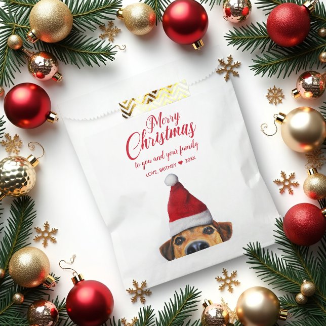 Sachets En Papier Curieux mignon chien drôle avec chapeau de Père No (Créateur téléchargé)