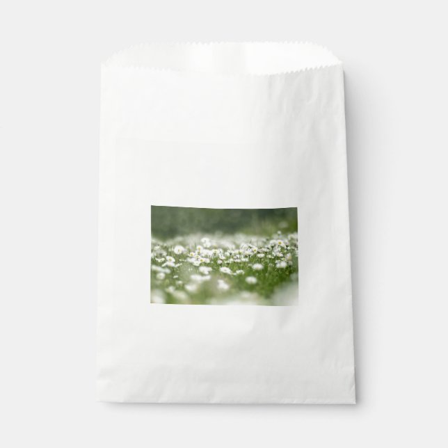Sachets En Papier Daisy Meadow (Devant)