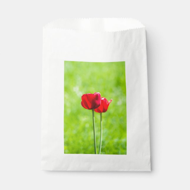 Sachets En Papier Deux fleurs de tulipes rouges (Devant)
