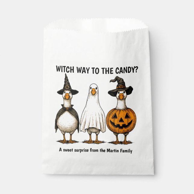 Sachets En Papier Drôle Halloween Sorcière Goose (Devant)