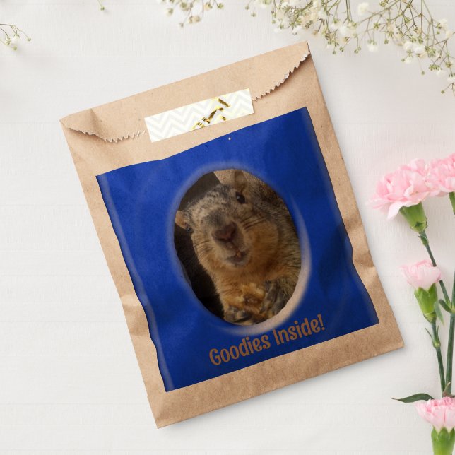 Sachets En Papier Favor Sac - Sécureuil Traitements (Scellé)