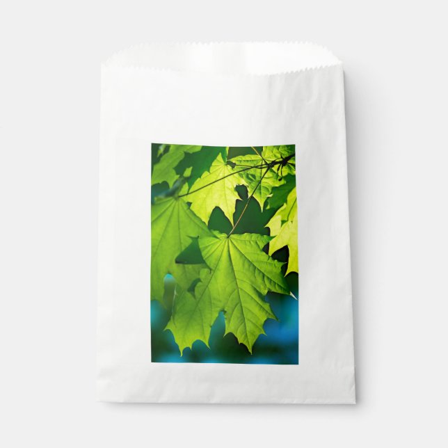Sachets En Papier Feuilles d'érable vert frais (Devant)