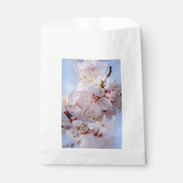 Sachets En Papier Fleur d'abricotier japonais (Devant)