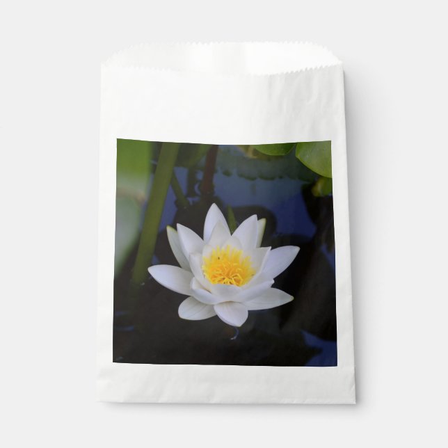 Sachets En Papier Fleur Macro Lotus (Devant)