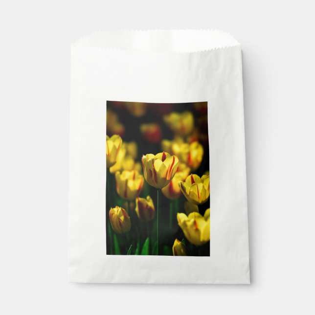 Sachets En Papier Fleurs de tulipe jaune (Devant)
