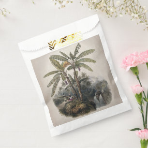 Sachets En Papier Forêt de bananiers tropicaux antiques Bota vinta