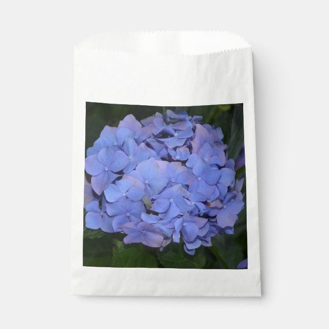 Sachets En Papier Hydrangea macrophylla violette rustique (Devant)