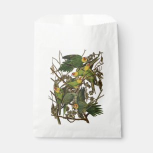 Sachets En Papier Illustration Audubon Carolina Parrot Bird