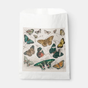 Sachets En Papier Illustration de papillon antique : 1820 Orfèvre
