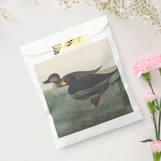 Sachets En Papier Impression de Macreuse noire d'Audubon : Canard cô (Scellé)