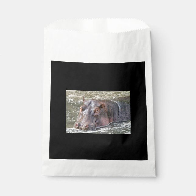 Sachets En Papier Joyeux Hippo (Devant)