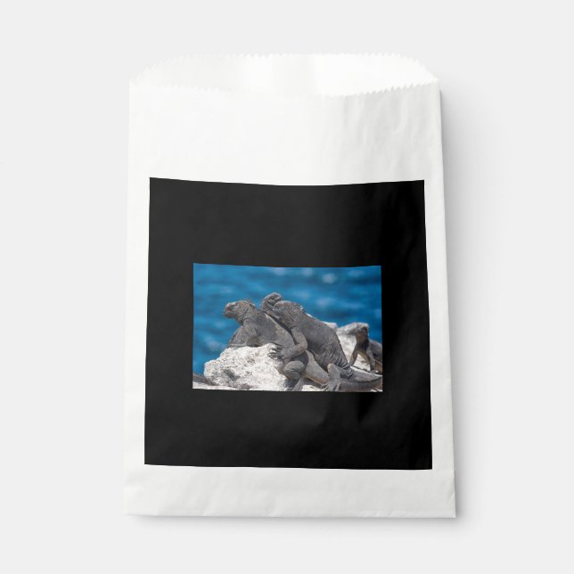 Sachets En Papier Marine Iguana (Devant)