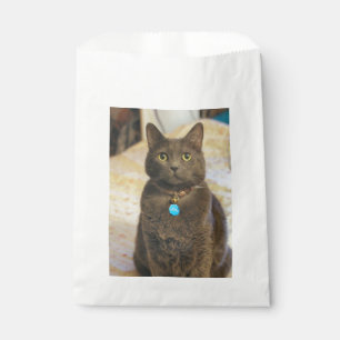 Sachets En Papier Mims