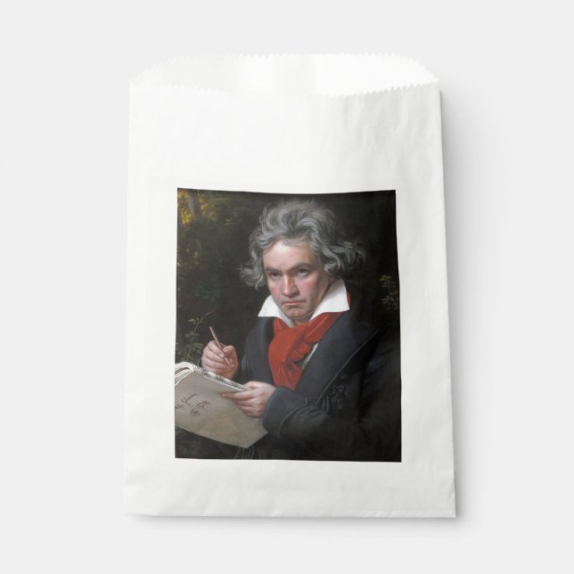 Sachets En Papier Missa Solemnis : Ludwig Beethoven Musique classiqu (Devant)