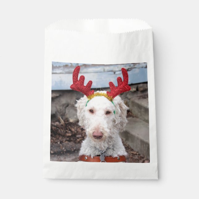 Sachets En Papier Noël Ollie (Devant)