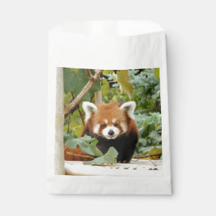 Sachets En Papier Panda rouge