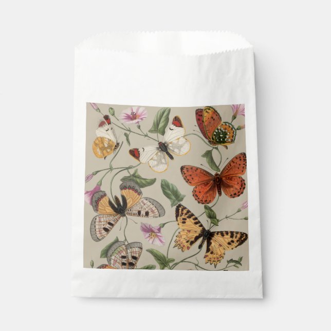 Sachets En Papier Papillon Moth Nature Collection Dessin (Devant)