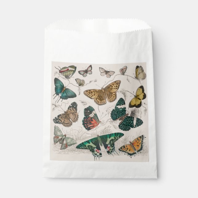 Sachets En Papier Papillons Collection Antique Papillons (Devant)