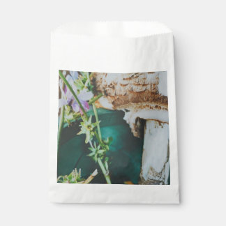 Sachets En Papier Parasol mushroom, Swedish Archipelago, Sweden