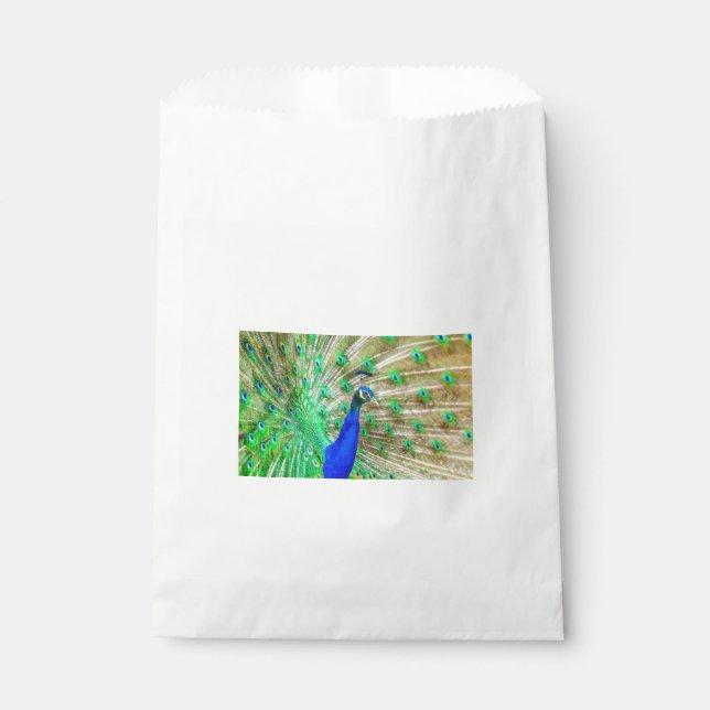 Sachets En Papier Peacock Plumage (Devant)
