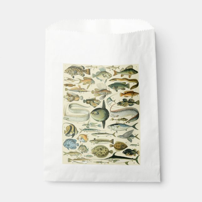 Sachets En Papier Pêche scientifique vintage (Devant)