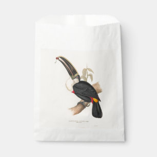Sachets En Papier Peinture animalière d'antiquités Toucans