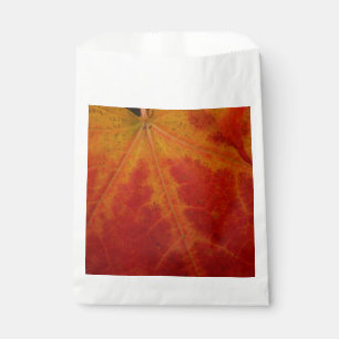Sachets En Papier Photographie abstraite de la feuille d'érable roug