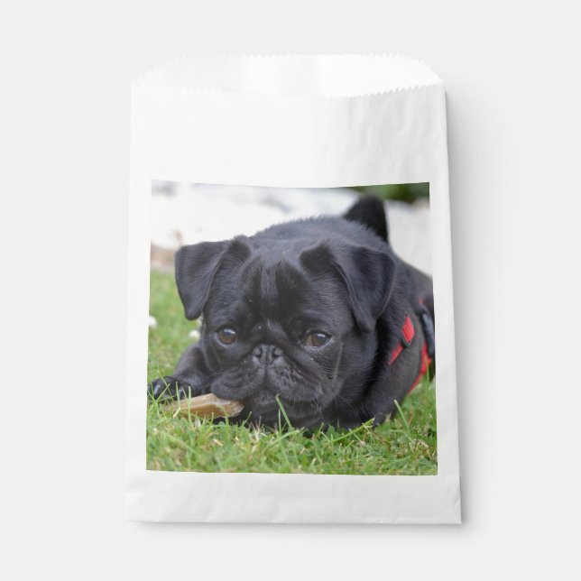 Sachets En Papier pug noir allongé (Devant)