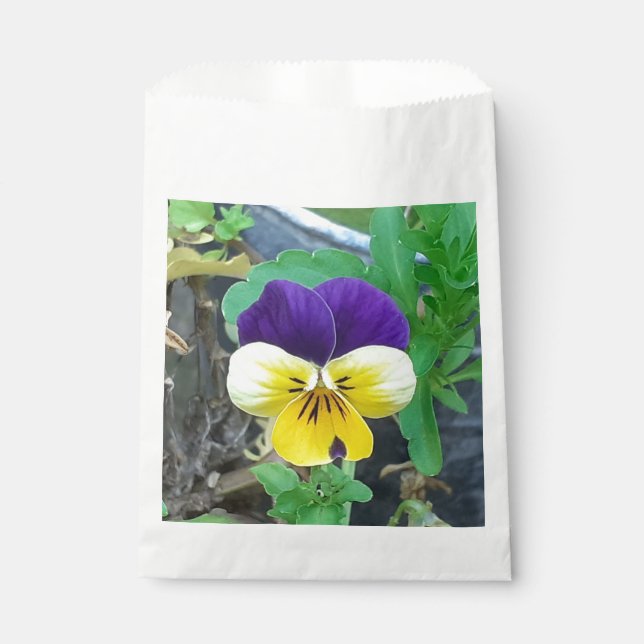 Sachets En Papier Purple et Yellow Pany (Devant)