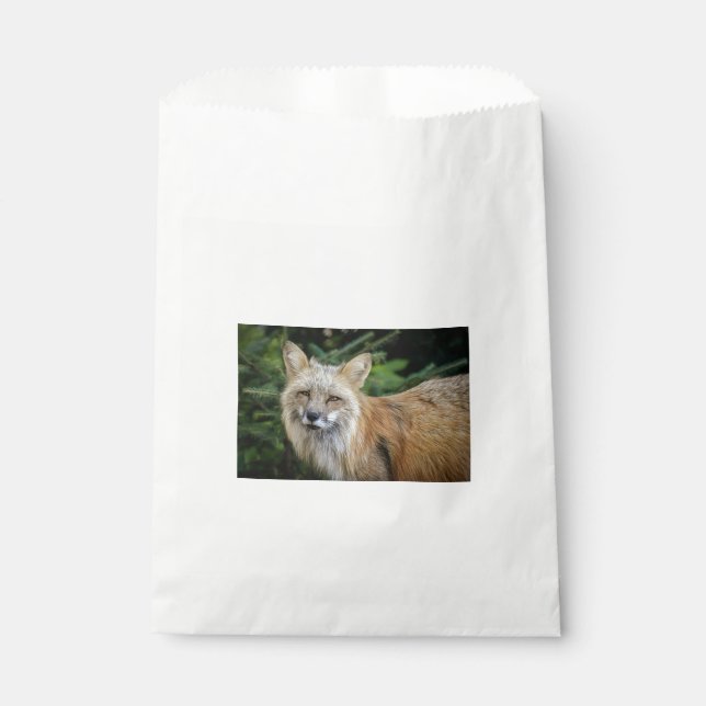 Sachets En Papier Renard sauvage (Devant)