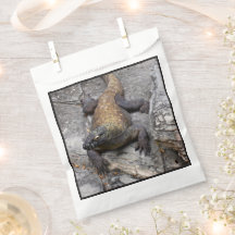 Sac de scène rocheuse du dragon de Komodo