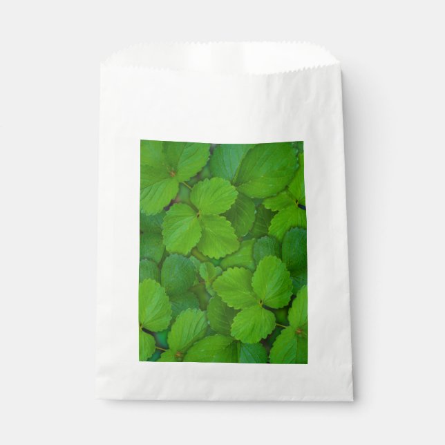Sachets En Papier Saint Basil Tulsi Green Mint Feuilles (Devant)