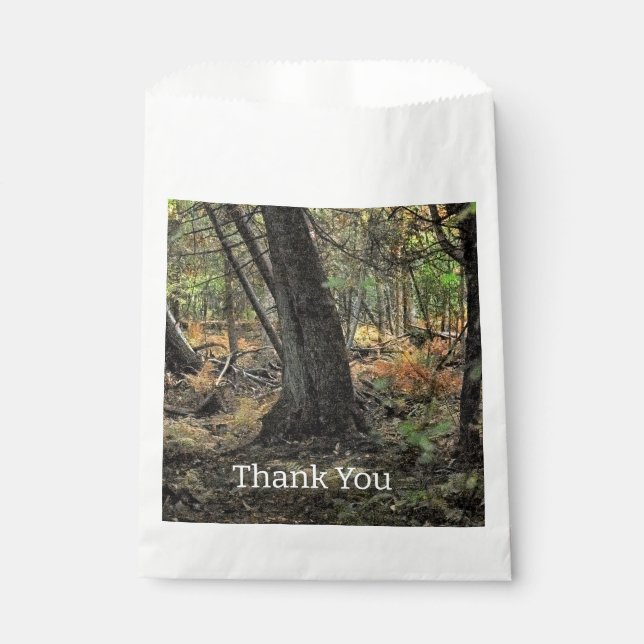 Sachets En Papier Scène forestière d'automne (Devant)