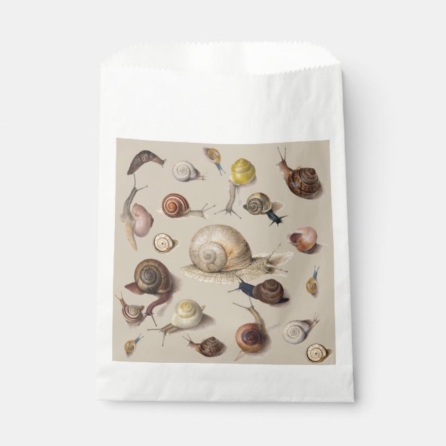 Sachets En Papier Snail Slug Garden Pet Gastropod (Devant)