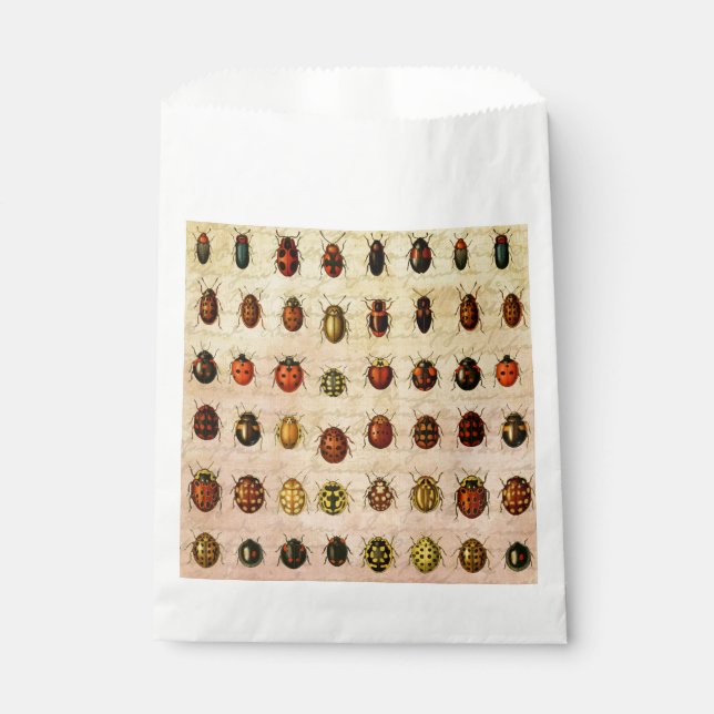 Sachets En Papier Spécimen de coccinelle vintage Motif Insecte antiq (Devant)