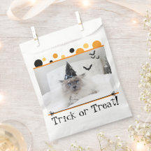 Sticker Casquette éffrayant Halloween Chat In Witc