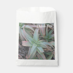 Sachets En Papier Succulentes du Nevada