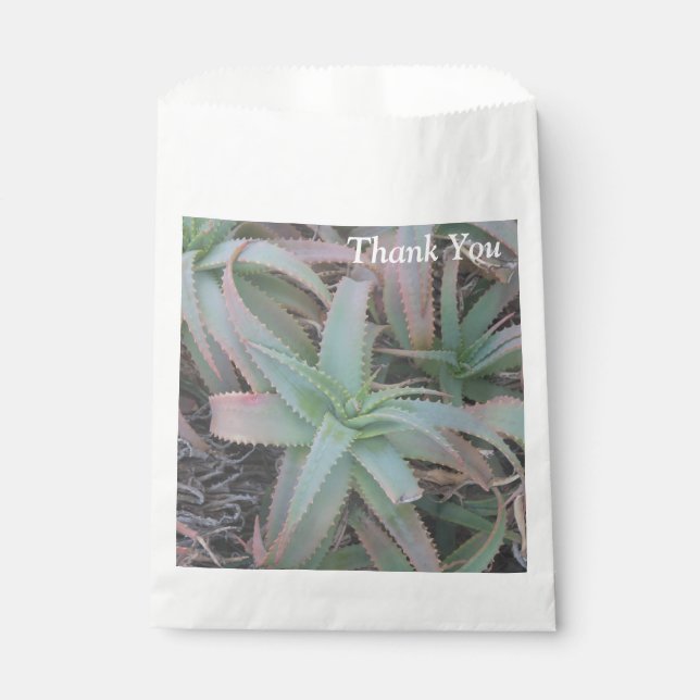 Sachets En Papier Succulentes du Nevada       (Devant)