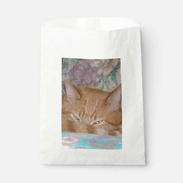 Sachets En Papier Tracer (Devant)