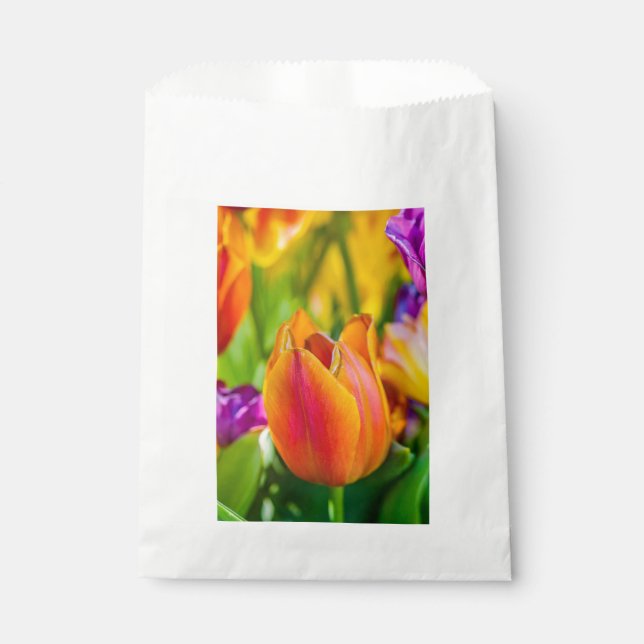 Sachets En Papier Tulipes Enchanteresses (Devant)