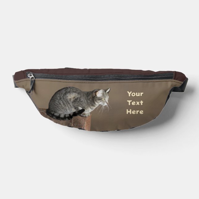 Sacs Banane Chat Tabby Gris Fumé (Poser)