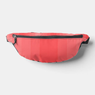 Sacs Banane COLLECTION REINE DU SHOPPING - Dames