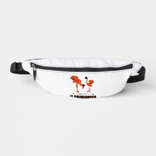 Sacs Banane Flamingoween - Halloween