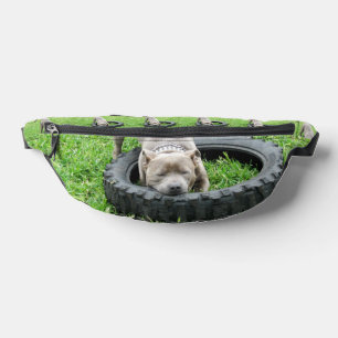 Sacs Banane Jeune Joueur du Staffordshire Bull Terrier,