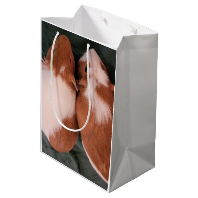 Sacs cadeau aux cochons de Guinée (Dos Angle)