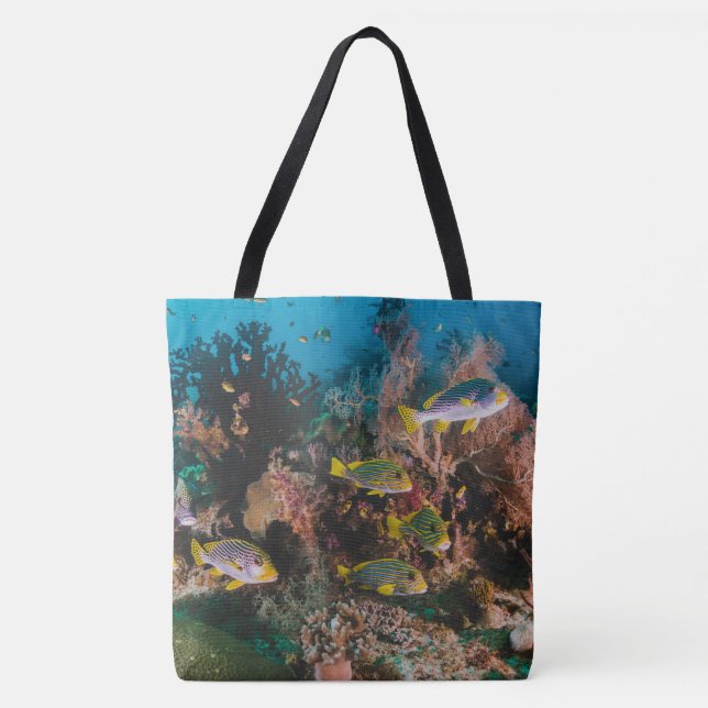 Sacs Coral Reef Beach (Devant)