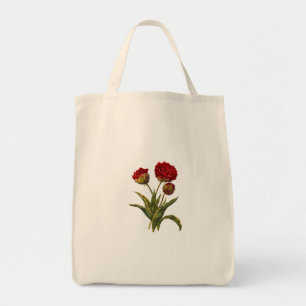 Sacs de transport