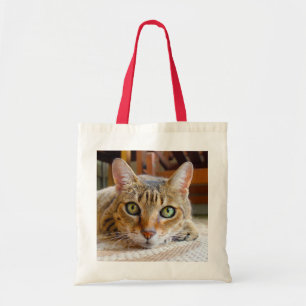 Sacs fourre-tout de chats mignons